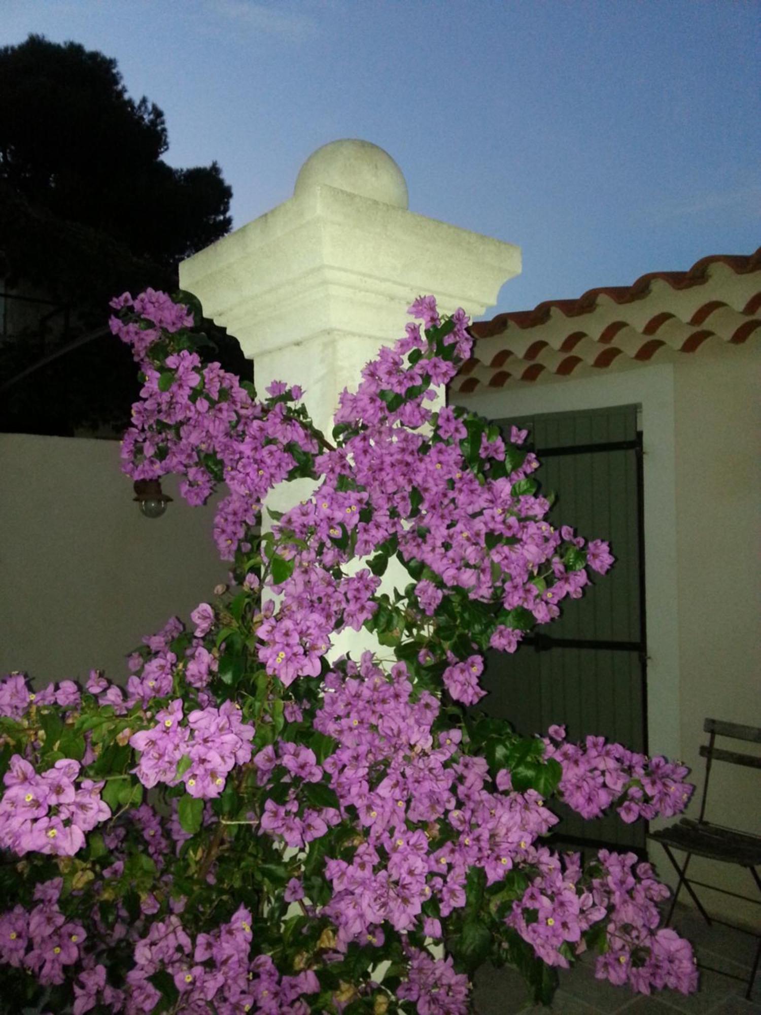 Gite Le Felibre Châteauneuf-lès-Martigues Oda fotoğraf